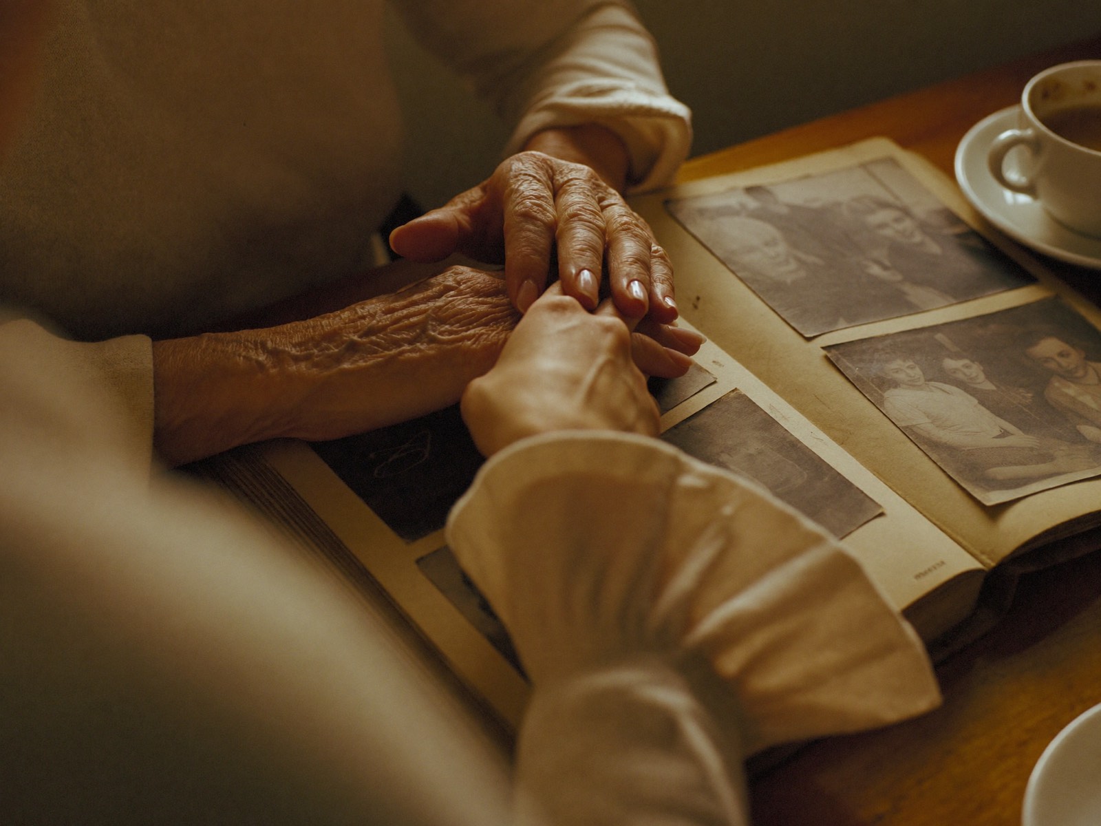 Hands over a photo album — one of the generated photos
